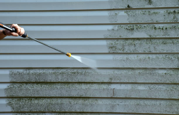 Best Mold Cleaning Services  in Pine Hill, NJ
