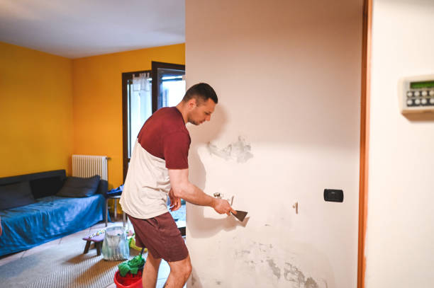 Best Toxic Mold Removal  in Pine Hill, NJ